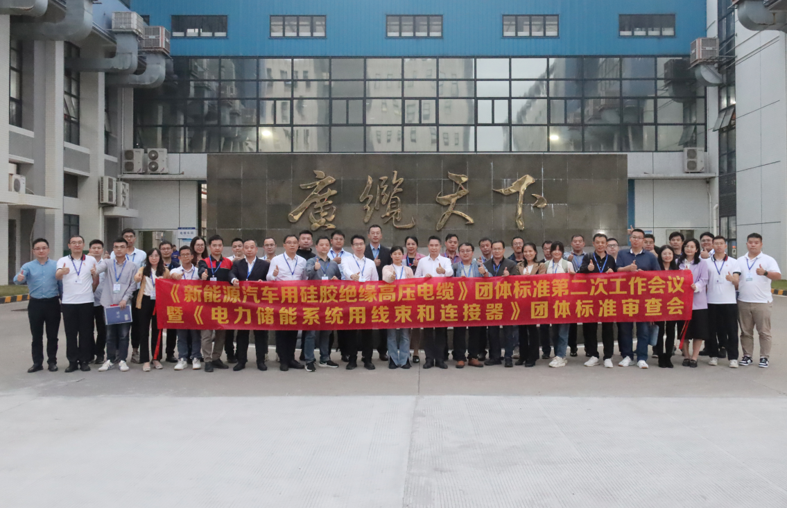 共促行業高質量發（fā）展|廣州電纜作為主要製定單（dān）位（wèi）承（chéng）辦團體標準（zhǔn）工作會議