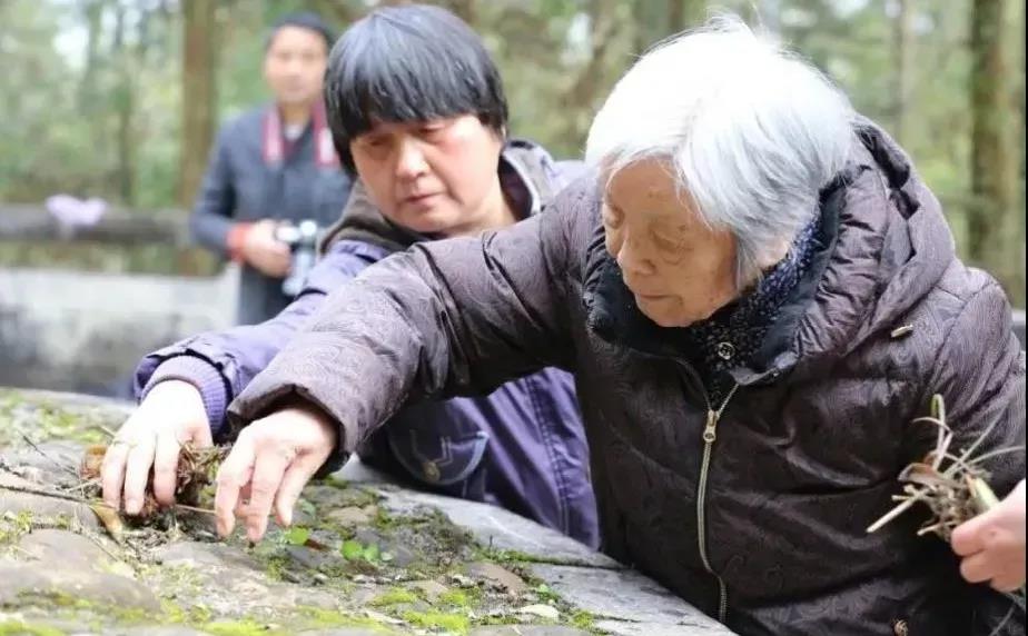 【學黨史】建黨百年（nián），聽習近平講黨（dǎng）史故事